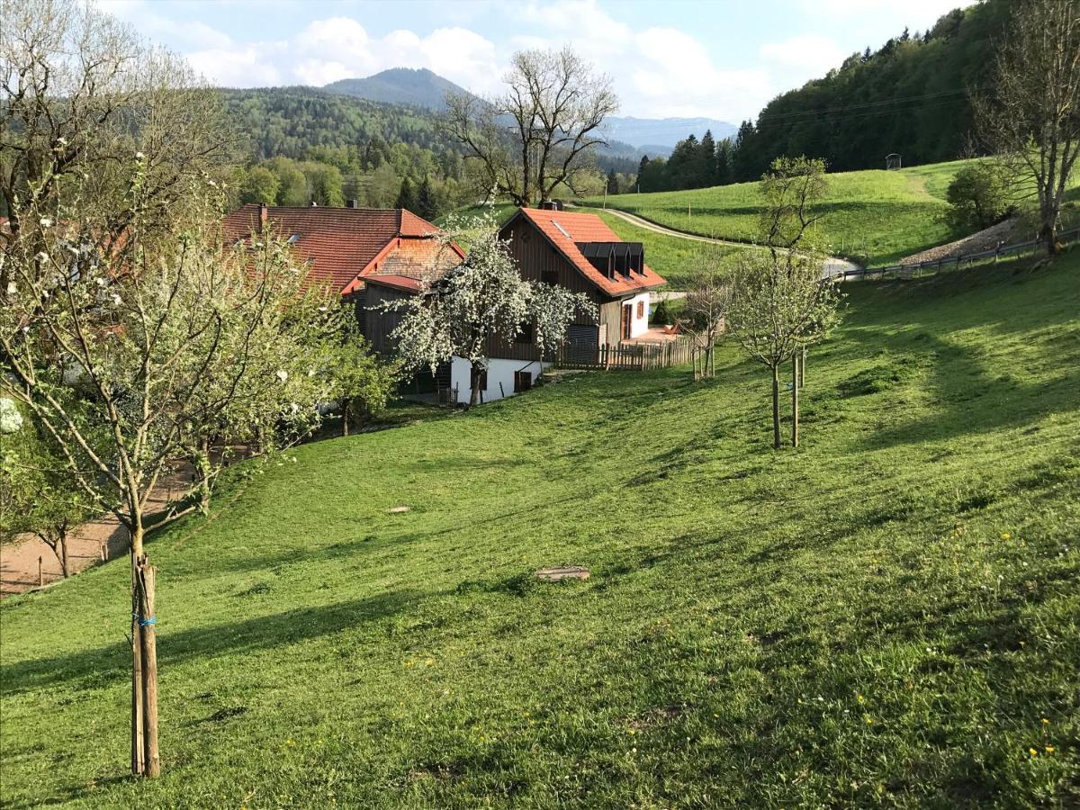 Pension Ober Зигсдорф Экстерьер фото